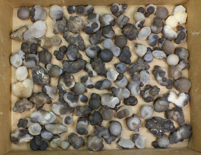 Lot: to Natural Chalcedony Nodules - Pieces #137985